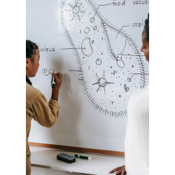 LEARNING AND TEACHING PRACTICES OF THE 21ST CENTURY GLOBAL CLASSROOMS LEARNING AND TEACHING PRACTICES OF THE 21ST CENTURY GLOBAL CLASSROOMS