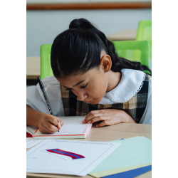 DEVELOPING VIVID VOCABULARY & SCINTILLATING SENTENCES TO ELEVATE STUDENT WRITING DEVELOPING VIVID VOCABULARY & SCINTILLATING SENTENCES TO ELEVATE STUDENT WRITING